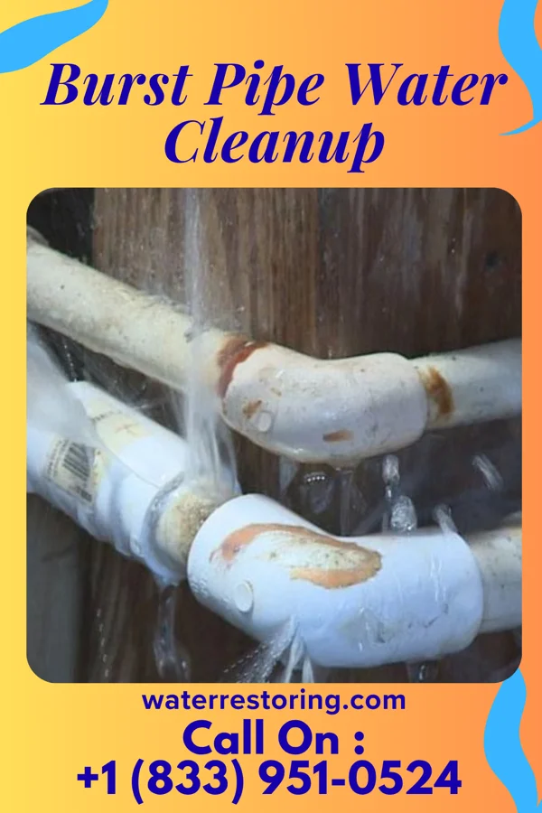 Burst Pipe Water Cleanup in Emerson, IA