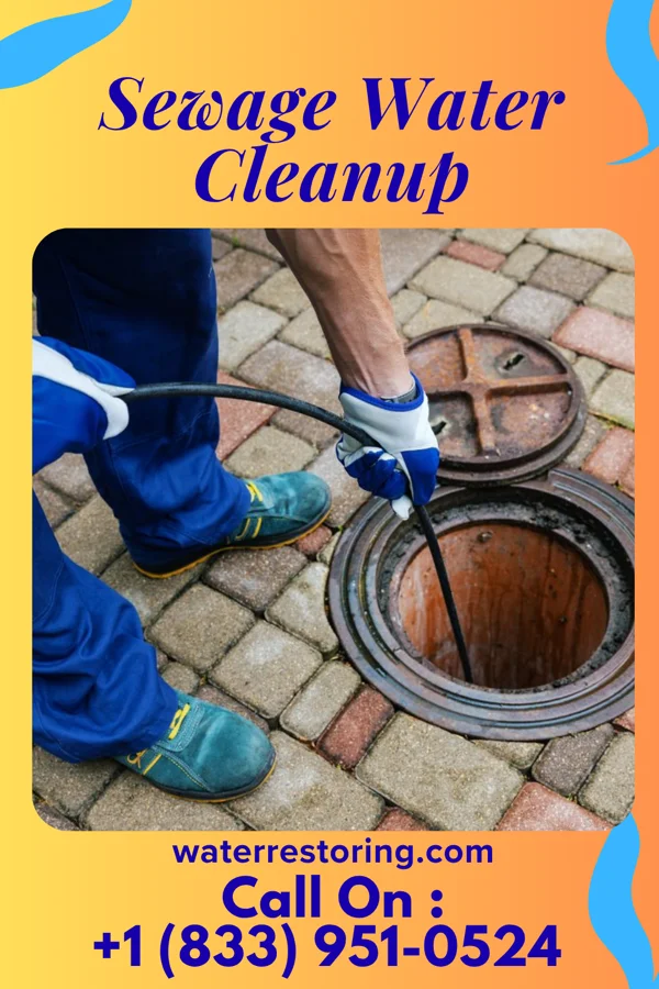 Sewage Water Cleanup in Emerson, IA